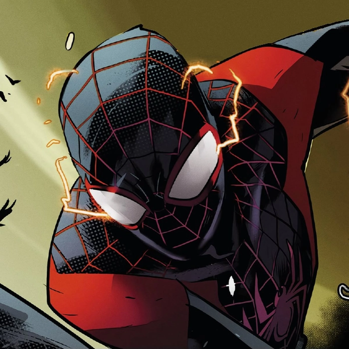 Spider Man Pfp Y2K1 Spider Man Pfp Y2K1