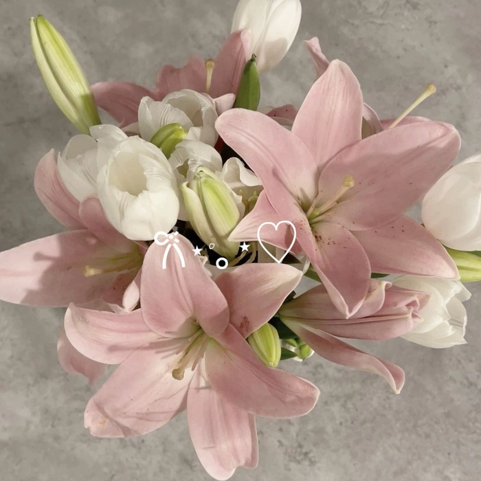 Aesthetic Pfp Flower1 Aesthetic Pfp Flower1