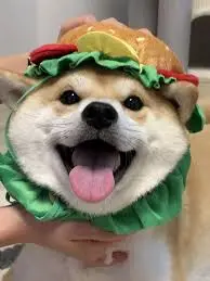 Aesthetic Pfp Funny.jpeg Aesthetic Pfp Funny.jpeg