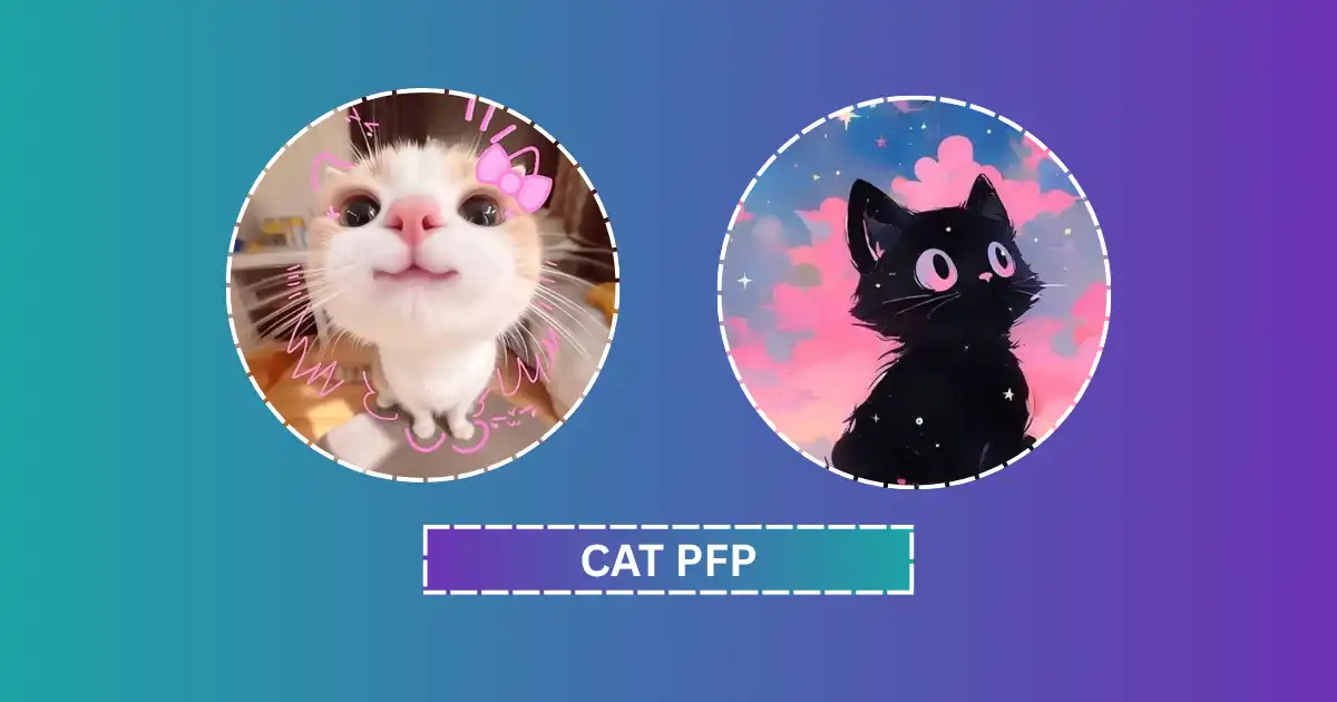 Best Cat Pfp