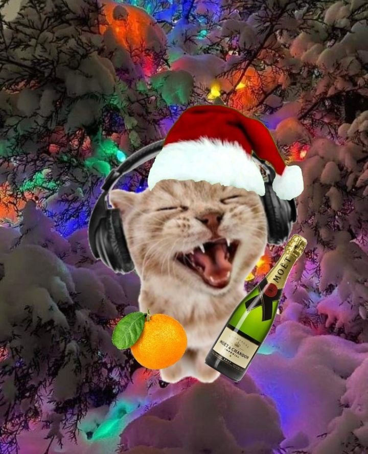 Christmas Meme Pfp Christmas Meme Pfp