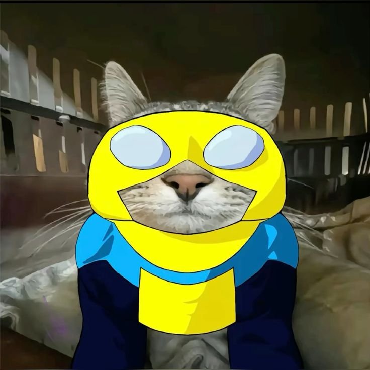 Invincible Cat Pfp Invincible Cat Pfp