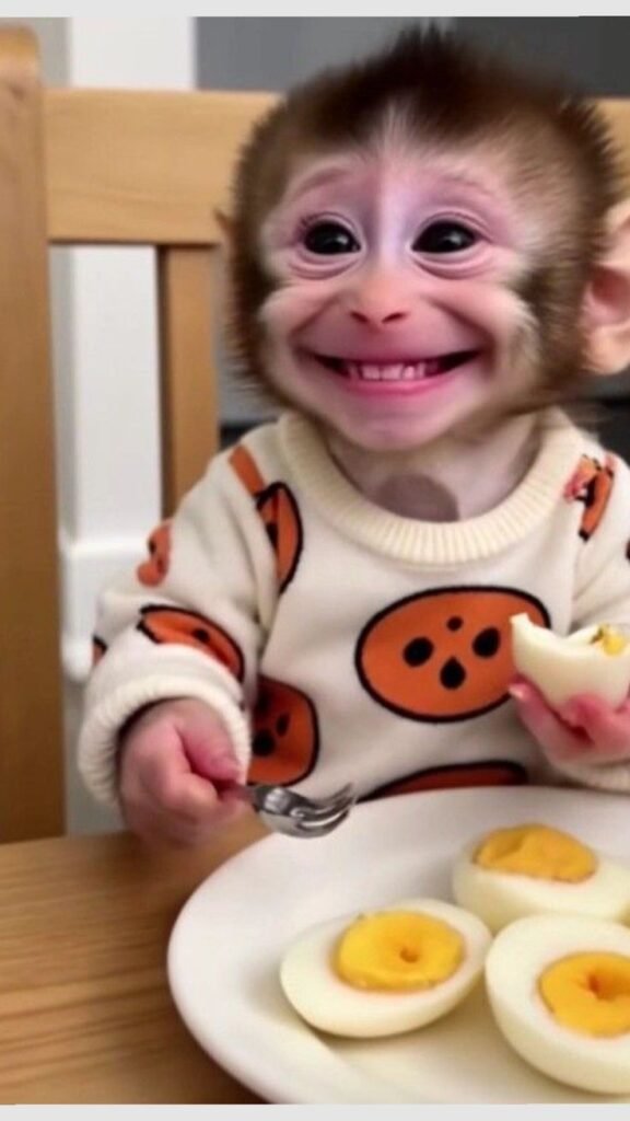 Meme Pfp 2026 (1) Meme Pfp 2026 (1)