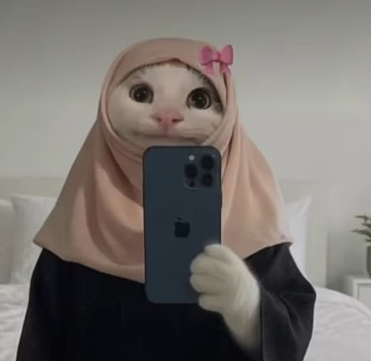 Meme Pfp Cat Meme Pfp Cat