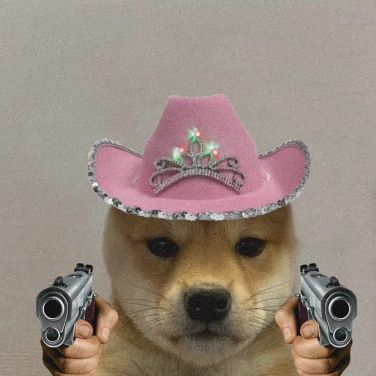 Meme Pfp Dog7 Meme Pfp Dog7