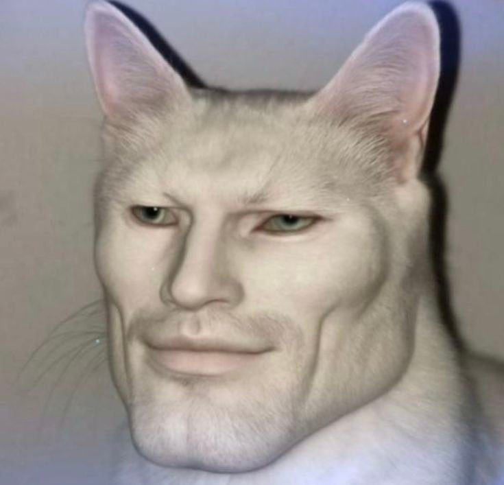 Meme Pfp For Discord Meme Pfp For Discord