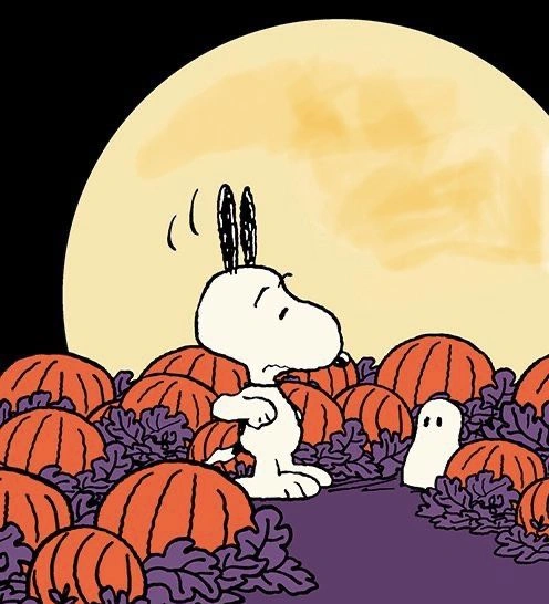 Snoopy Halloween Pfp 2