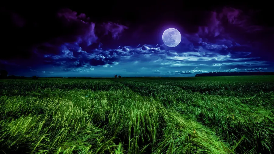 blue moon pfp 3 blue moon pfp 3