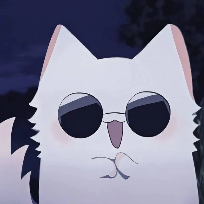 cute cat pfp pinterest 1 cute cat pfp pinterest 1