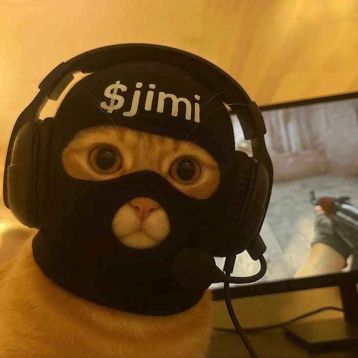 cute cat pfp pinterest 3 cute cat pfp pinterest 3