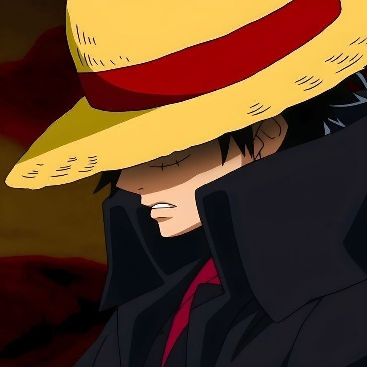 cute luffy pics cute luffy pics