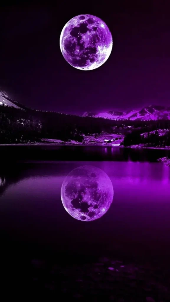purple moon pfp 2 purple moon pfp 2
