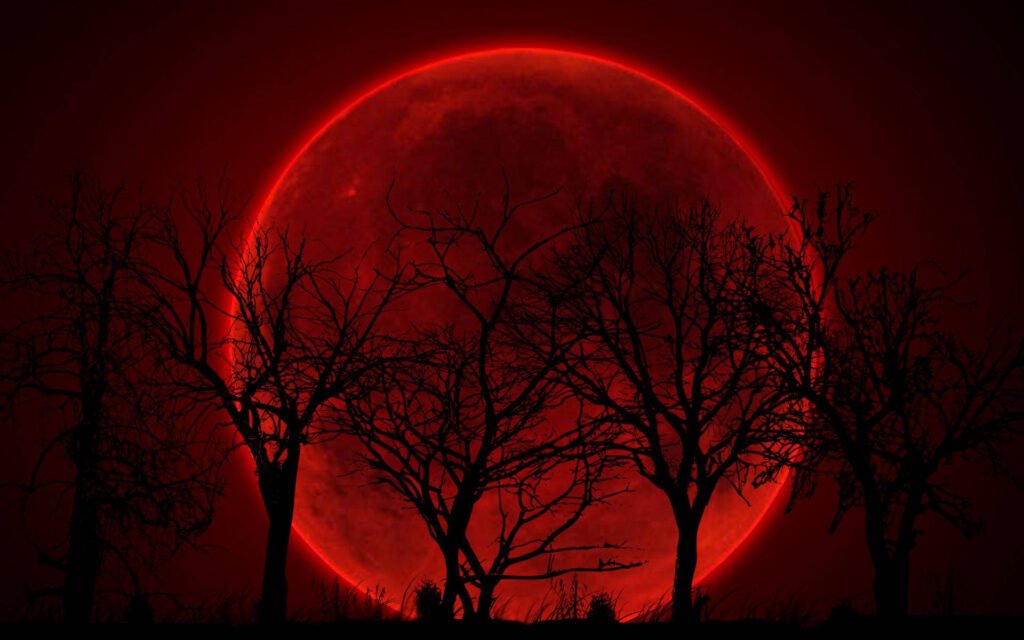 red moon pfp 1 red moon pfp 1
