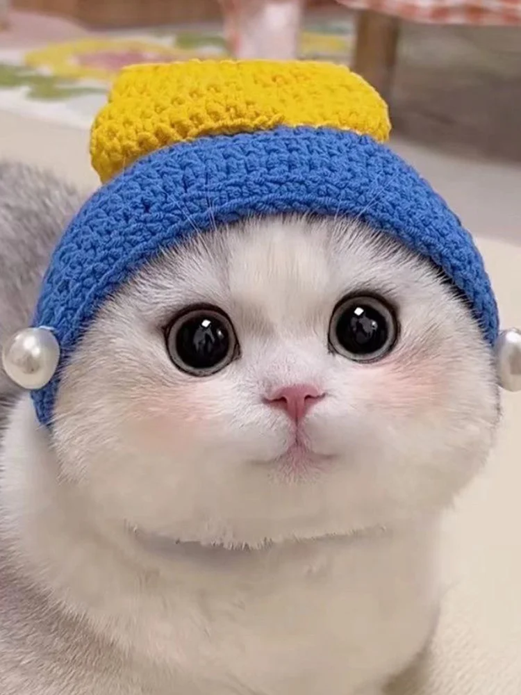 y2k cat pfp 1